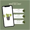 Plants by Frank | 48 Plantes de fleur des elfes Voir les images du produit 5