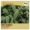 Samenliebe  Salbei Samen | Echter Salbei - winterhart & Produktbild-Vorschau 1