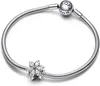 Ciondolo Pandora Sparkling Herbarium Cluster 792623C01 Anteprima dell’immagine prodotto 4