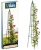 Vilde | Garten-Obelisk Metall Grün - 33x32x190 cm - Produktbild-Vorschau 9