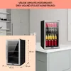 KlarsteinBeersafe 4XL, lednice, 124 l, 0-10 °C, sklo, , Náhled obrázku produktu 6