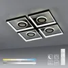 Paul Neuhaus LED Plafonnier Traforo 53 cm blanc chaud/blanc Voir les images du produit 11