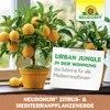 Neudorff NeudoHum Zitrus- & MediterranpflanzenErde 40 Liter Produktbild-Vorschau 4