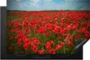 KitchenYeah© Herdabdeckplatte Eine Wiese voller Mohnblumen Produktbild-Vorschau 1