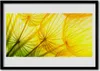Bild 70x50 MDF-Rahmen Wandkunst Löwenzahn Blumen Natur Produktbild-Vorschau 1