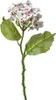 Clayre & Eef Fleur artificielle 37 cm blanc plastique Voir les images du produit 2