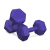 Hop-Sport Kurzhanteln aus Kunststoff, Hanteln - 2er Set 2x4 Produktbild-Vorschau 2
