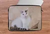 MuchoWow® Laptop Hülle 14 ZollKatze - Weiß - Bank - Mädchen Produktbild-Vorschau 5