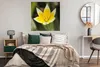 MuchoWow® Poster Blume - Garten - Gelb 100x100 cm - Produktbild-Vorschau 4