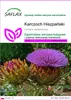 SAFLAX - Karczoch Hiszpański - 50 Nasiona - Cynara Podgląd zdjęcia produktu 1