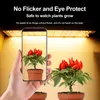 A hand holding a smartphone displaying a plant, with a grow light illuminating plants in the background. Anteprima dell’immagine prodotto