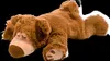 Warmies® Sleepy Bear marrone Anteprima dell’immagine prodotto 9