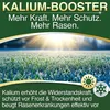 DÜNGEMEISTER Herbst Rasendünger – mit Langzeitwirkung und Produktbild-Vorschau 3