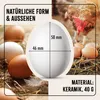 AniForte Toneier für Hühner 6 Stück – Naturgetreue Produktbild-Vorschau 4