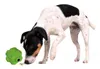 TRIXIE Snackball, Ø 6 cm Produktbild-Vorschau 21