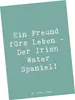 Mr. & Mrs. Panda Postkarte Spruch Irish Water Spaniel Produktbild-Vorschau 1