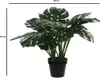 Mica Decorations Plante artificielle Monstera - 80x80x60 cm Voir les images du produit 7