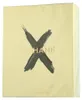 Estratto di profumo Nishane Ani X 50 ml UNISEX Anteprima dell’immagine prodotto 6