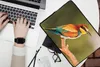 Pouzdro na notebook 13 palců Ptáci - Včelojed - Duha - Náhled obrázku produktu 2