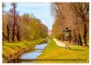 Moritzburg mit Schlossansichten (Wandkalender 2027 DIN A2 Produktbild-Vorschau 7