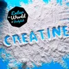 BODYLAB Creatine Powder - 3 x 500g reines Kreatin Produktbild-Vorschau 8