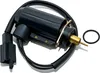 E-Choke MXT Kaltstart schwarzer Stecker für Mikuni Produktbild-Vorschau 1