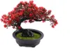 Künstlicher Bonsai Baum im Topf 21cm - Dekorative Produktbild-Vorschau 1
