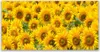Tulup Leinwand-Bilder 140x70 Wandbild Canvas Kunstdruck Produktbild-Vorschau 1