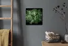 Coloray Hodiny Unikátní 30x30 cm  Tiché hodiny Pro obývací Produktbild-Vorschau 2