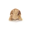 Tortue, environ 20 cm, 1pc Voir les images du produit 10