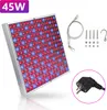 Jayseuw LED lampa na rastliny Rastúca lampa na izbové Náhľad obrázku produktu 9