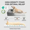 BEDSURE orthopedisch hondenbed, ergonomische hondenbank, Productafbeelding-voorbeeld 3