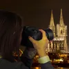 Walimex pro easyCover do Canon EOS R5/R6 - przyjemnie Podgląd zdjęcia produktu 9