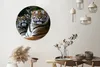 MuchoWow® Rundes Wandbild - Runde Bilder Tiger - Wald - Produktbild-Vorschau 2