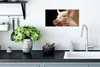 MuchoWow® Poster Schwein - Tier - Zaun 40x20 cm - Poster Produktbild-Vorschau 3