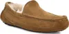 Ugg Ascot M Chestnut - Heren Pantoffel - 1101110-CHE Produktbild-Vorschau 7