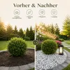 Best For Home - Kieselsteine | gartensteine für boden | Produktbild-Vorschau 5