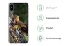 MuchoWow® Handyhülle Schutzhülle Hülle für iPhone Xs Marder Produktbild-Vorschau 7