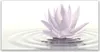 Acrylglasbilder 120x60 Wandbild Druck Blume Wasser Kunst Produktbild-Vorschau 1