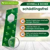 Florfliegenlarven gegen Blattläuse und Thripse - 5 Träger Produktbild-Vorschau 4