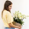 Orchideje Colibri | sada bílých rostlin v bavlněném košíku Náhled obrázku produktu 4