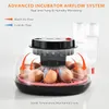 Incubateur automatique, incubateur pour 12 œufs, couveuse Voir les images du produit 6