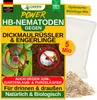 POWER HB-Nematoden gegen Dickmaulrüssler & Engerlinge, 5 Produktbild-Vorschau 1