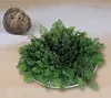 BALDUR Garten 1x Rose von Jericho, Wurzelware in Größe I, Produktbild-Vorschau 1