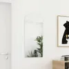 A mirror with an arched top is mounted on a white wall next to a door. Several potted plants are reflected in the mirror. A framed picture of a bear is visible to the right of the mirror. Náhled obrázku produktu