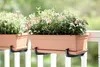 elho green basics balkon Untersetzer 50cm - mild tonrot Produktbild-Vorschau 4