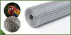 Volierendraht - 10 M² - Maschen 13 X 13 Mm - Wetterfest - Produktbild-Vorschau 6