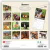 Boxers - Boxer 2027 - 16-Monatskalender Produktbild-Vorschau 2
