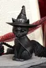 Cult Cuties Figur Purrah 13 cm Produktbild-Vorschau 10