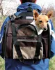 TRIXIE SHIVA TX-28871 Trasportino per animali domestici Anteprima dell’immagine prodotto 7